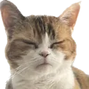 tayasleep