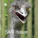 Skill_Issue