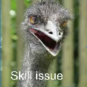 SS_SkillIssueLol