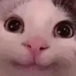 oo