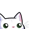 Cat Peek catpeek Discord Emoji