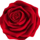 Red Rose red_rose Discord Emoji