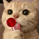 Kitty Discord Emoji