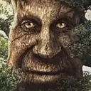 WiseMysticalTree