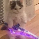 elgato elgato