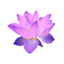 purple_flower Discord emoji