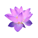 Purple Flower Purple_flower Discord Emoji