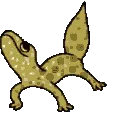 GeckVibe