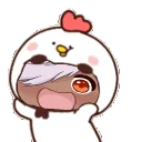 Cynodance