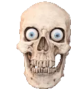 skullbruh