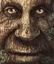 nooneescapesfromlifealive