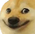 VeryPolitelySmilingDoggo
