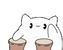 TCBongoKitty