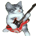 TCCatShred