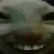 xdd