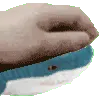 WAGGSHHSHJJABSBSNS