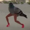 LegBoi