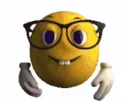 nerd