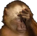 facepalm