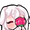kissyuFlower kissyuFlower