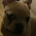 Myla_homophobic