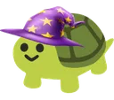 turtle_wizard