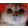 RAGEY
