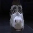 donkey_despair donkey_despair