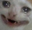 cryingcatto