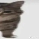 cat3