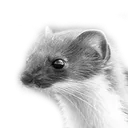 CanePizziglioSad Discord Emoji