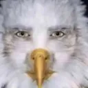 eagleman