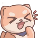 shiba_lol
