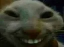 xdd