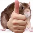 buona buona