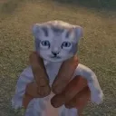 SAVEHIM