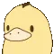 ds_duckspinOwO