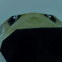 sniff
