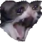 supertrauma supertrauma