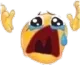 NOOO