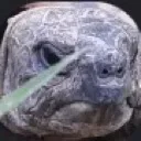 Donald1499JWLogo Discord Emoji