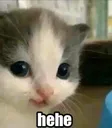 hehe