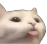 cat_bleep