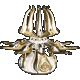 Anasa