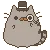 FancyPusheen