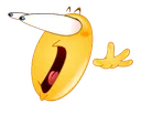AYO AYO