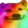 doge_gay