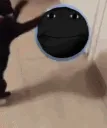 frcoalcat