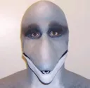 dolphin