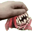 squig_pet squig_pet